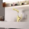TLXT Pull-Out Kitchen Faucet