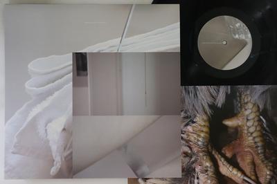 12-дюймовая пластинка DAMIEN DUBROVNIK - Vegas Fountain ALT020 Posh Isolation 2015 Великобритания и Европа Танцевальная и Электронная Музыка Б/У