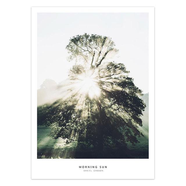 Скандинавский пейзаж, горный лес, зеленая природа, скандинавский пейзаж, картина, постер, настенное художественное украшение с принтом