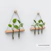 Elegant Wall Hanging Hydroponic Vase with Hemp Rope for Plants and Pothos