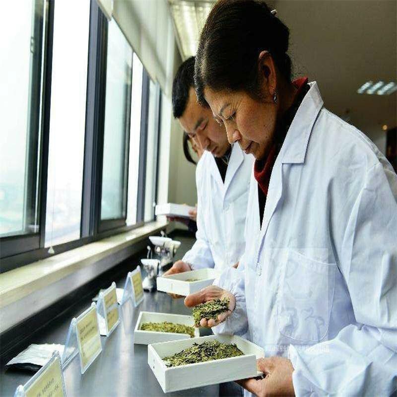 250g Famous Good Quality Dragon Well China Spring Longjing Green Tea for Health