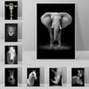 Modern Black And White Lion Elephant Deer Zebra Poster Canvas Painting Nordic Animals Wall Picture For Living Room Home Decor