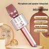 Wireless Bluetooth K-Song Microphone & Speaker with Built-in Sound Card for TV and Mobile