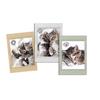 Torchons - Chats Choupinou - Lot De 3 - 100% Coton - 50x70cm - Lavable À 40°
