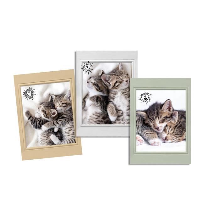 Torchons - Chats Choupinou - Lot de 3 - 100% Coton - 50x70cm - Lavable à 40°