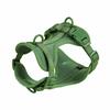 RTS  Pvc  Waterproof Dog Collar and Leash Set for Walking