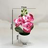 Multi-Bloom Simulated Butterfly Orchid White Flower Pot Plastic Fake Flower  Home Decor