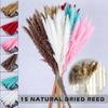 WCIC New 15PCS Artificial Natural Dried Pampas Grass Flower Bunch / Bouquet Wedding Decor Home Decoration