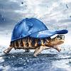 DIY 5D Алмазная картина Вышивка крестиком Картина Черепаха Алмазная вышивка Рукоделие