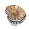 Natural Ammonite Fossil Gemstone 925 Sterling Silver Jewelry Ring Size 7 N0c79