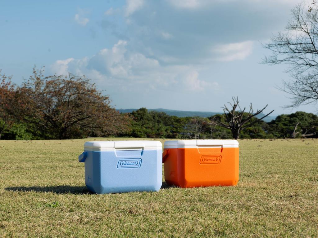 Coleman Take 6 Cooler Box Perfect for Sports Cherry Blossom Club Lunch and Other Outdoor Durable and Powerful Cooling System for Heat (Daydream) -