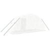 Greenhouse with Steel Frame White 10 m² 5 x 2 x 2.3 m