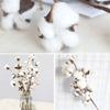 Home Decor Wedding Decoration Cotton Stem Floral Branch Dried Cotton Flower Artificial Plants