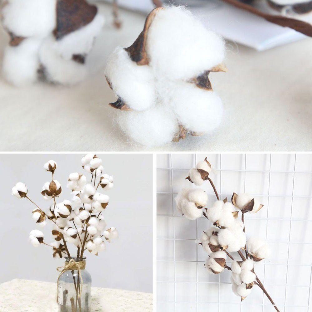 Home Decor Wedding Decoration Cotton Stem Floral Branch Dried Cotton Flower Artificial Plants