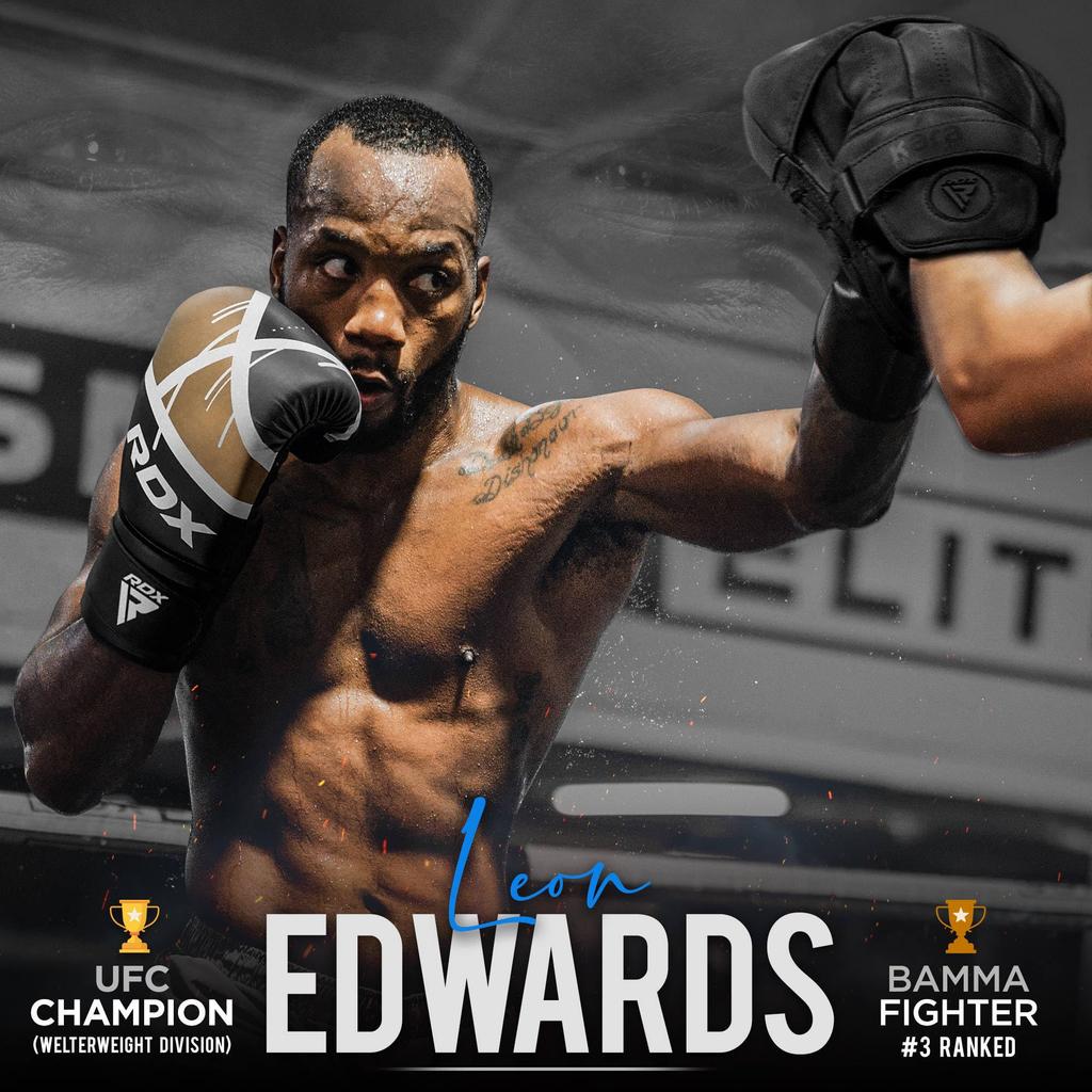 Перчатки для бокса RDX для тренировок по тайскому боксу, кожаные перчатки Mayanhide для боев, кикбоксинга, спарринга, перчатки EGO, боксерская груша, фокусировочная подкладка, тайский манекен для грэпплинга