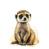 Watercolor Animals Baby Cheetah Giraffe Elephant Meerkat Zebra Tiger Poster Canvas Painting Kids Room Nursery Home  Cuadros