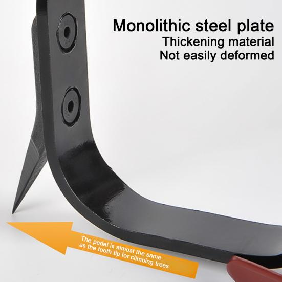 Набор инструментов для лазания по деревьям Стальные шипы для лазания по деревьям Регулируемая страховочная привязь для лазания с усиленными ножными ремнями Оборудование арбориста для лесозаготовки Фрукты