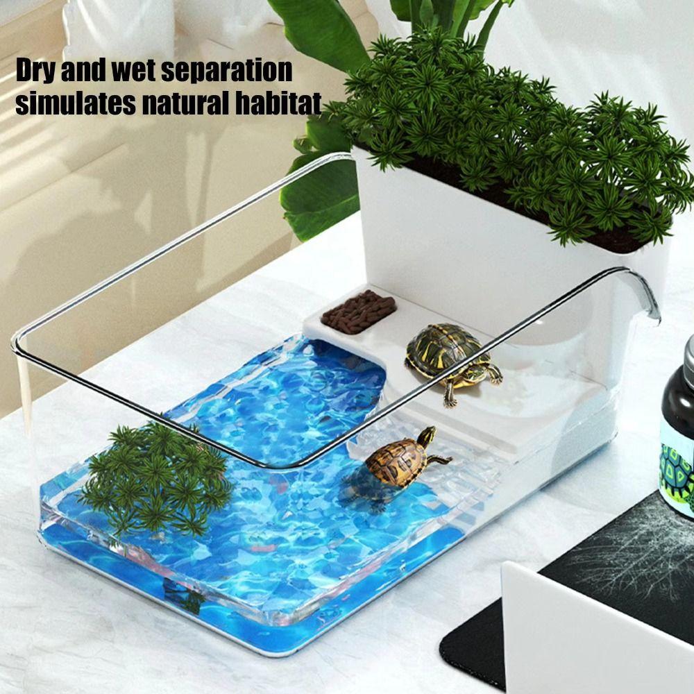 Ecological Landscaping Landscape Turtle Tank  for Pet Turtles Hermit Crabs Tortoise Adoption