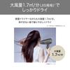 Tescom Protect Ion Hair Dryer, Foldable, High Airflow, Lightweight, Cold and Warm Air, Gold, TD360A-N
