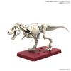 BANDAI SPIRITS Planosaurus Gachiko Tyrannosaurus Tropical Rainforest Plastic Model Kit Seibutsu-bu Ver. Pre-colored