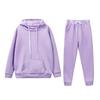 2 Pcs/Set Women Hoodie Pants Suit Solid Color Plush Long Sleeves Thick Top Elastic Waist Ankle-banded Trousers Sport Fitness