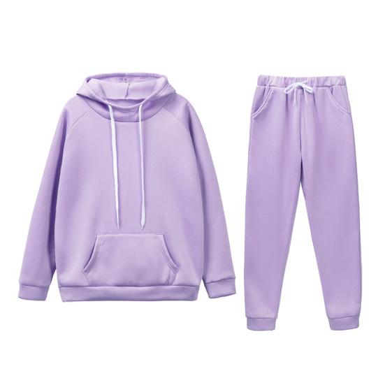 2 Pcs/Set Women Hoodie Pants Suit Solid Color Plush Long Sleeves Thick Top Elastic Waist Ankle-banded Trousers Sport Fitness
