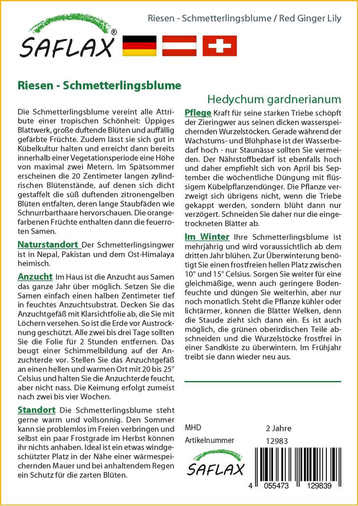 SAFLAX Подарочный набор - Красная имбирная лилия - 10 семян - С подарочной коробкой, карточкой, этикеткой и субстратом для горшков - Hedychum gardnerianum