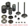 Valve Assembly Set Intake Exhaust Stem Shaft Kit for 250cc 260cc 300cc Scooters