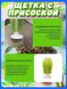 Aquarium/terrarium accessories