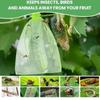 100Pcs Fruit Insect Proof Mesh Bag, Vegetable and Fruit Bird and Insect Proof Mesh Bag