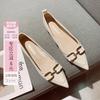2025 New Thick Heel Medium Heel Single Shoes Women's Versatile Autumn Models with Skirts Shallow Mouth Pointed Low Heels