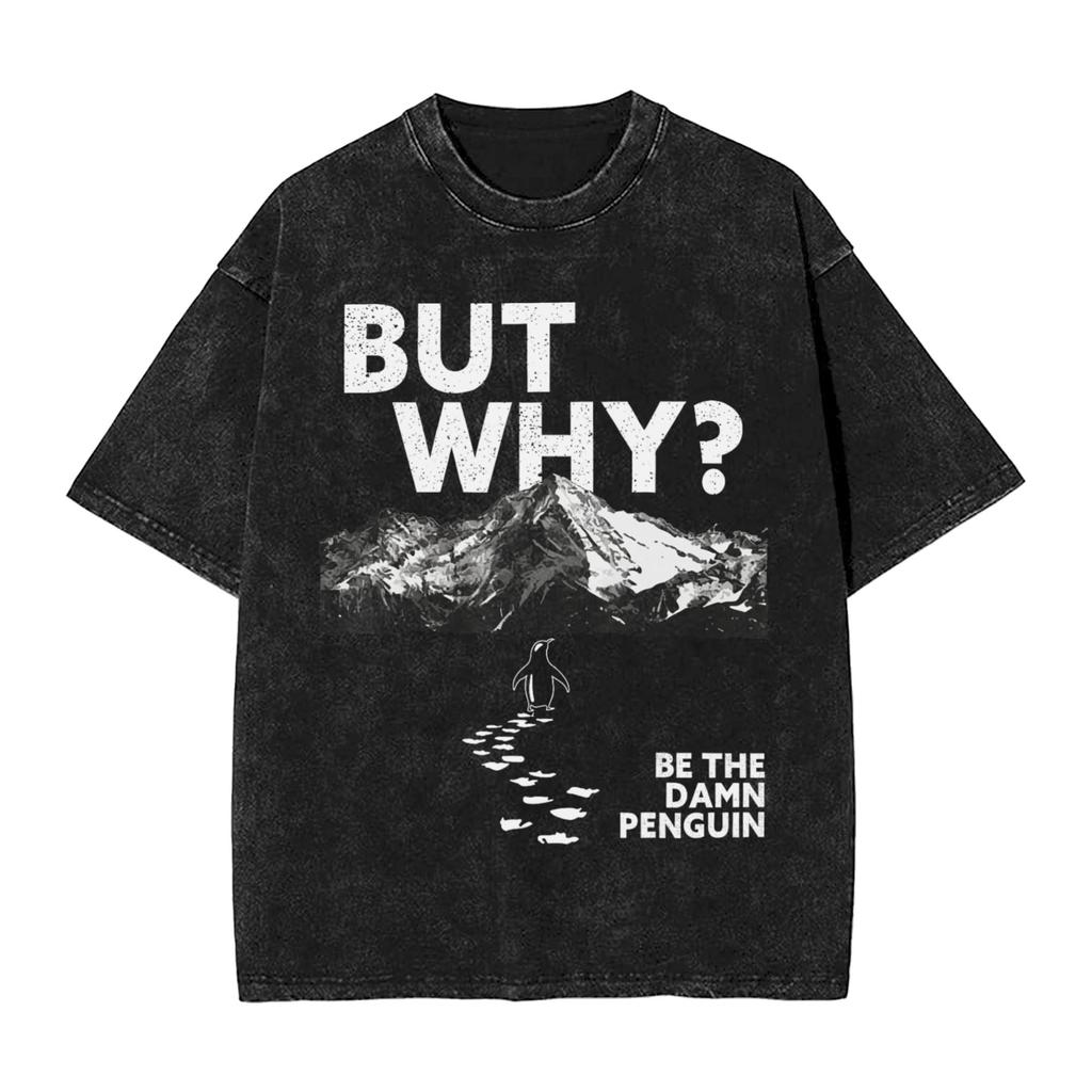 Streetwear Washed Tshirt Lone Penguin Survival But Why Funny Dark Meme Cotton Tshirts Hipster Tshirt Men Beach Y2k Basic Tees