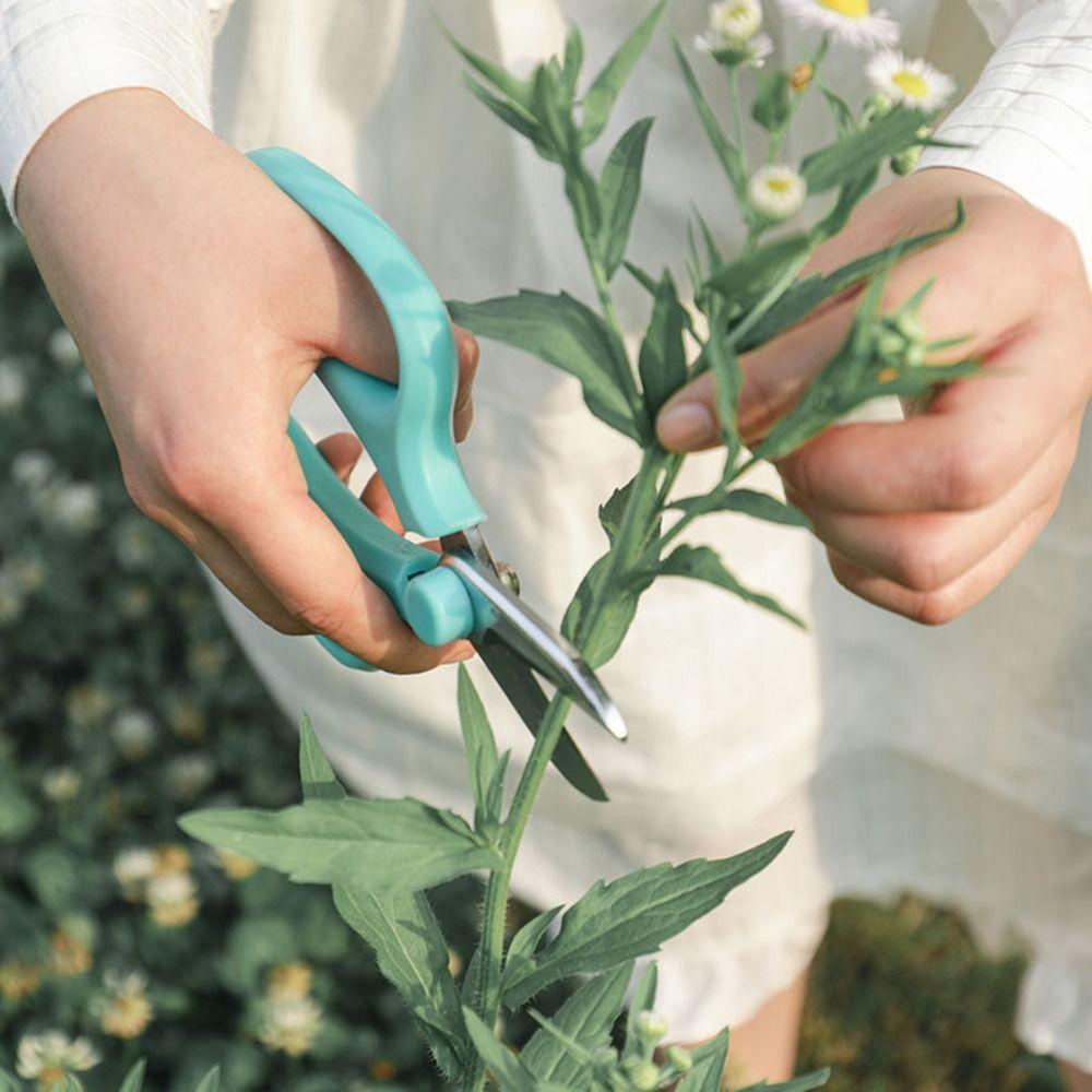 Pink Garden Pruning Shears Blue Garden Scissors Fishing Tool Floral Scissors Garden Pruners