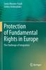 Книга Protection of Fundamental Rights In Europe : The Challenge of Integration