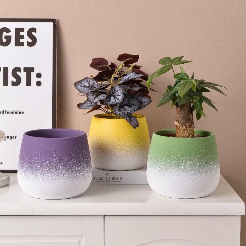 HC Modern Ceramic Flower Pot with Tray