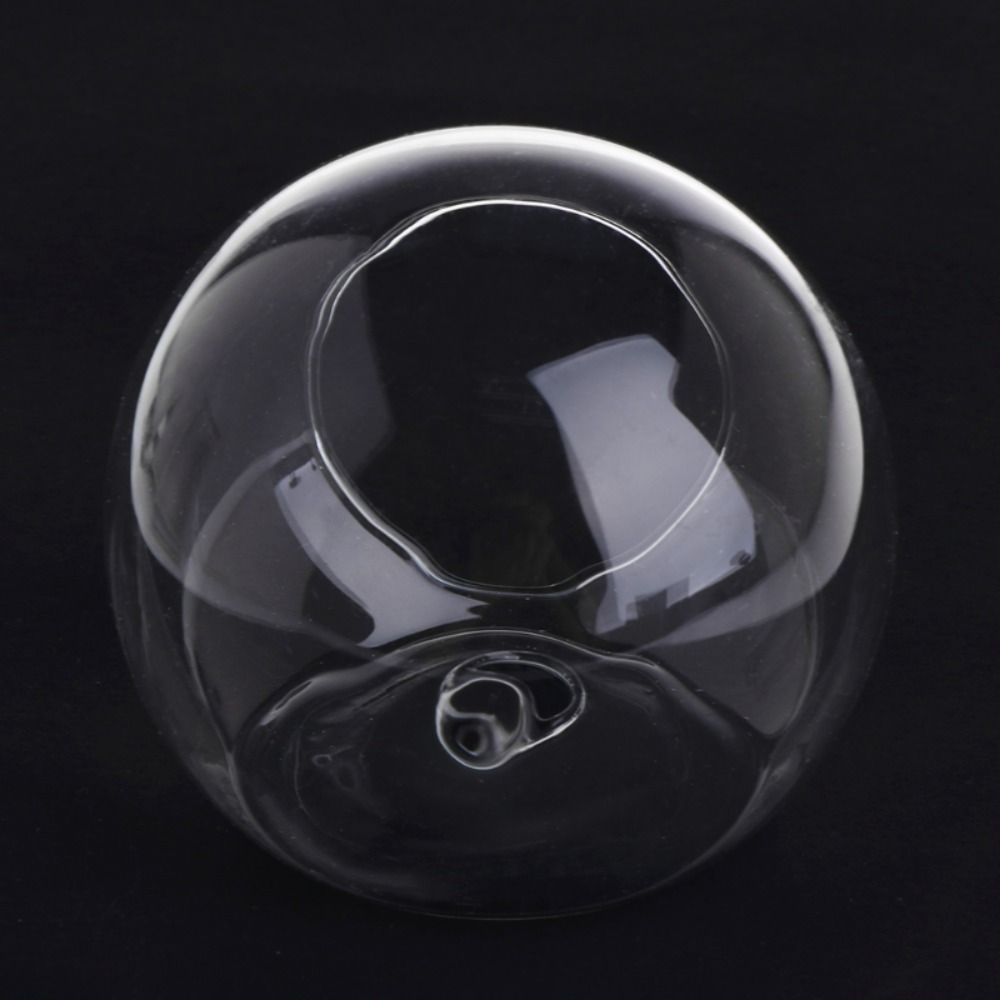 Plants Holder Wall Mounted Vase Fish Tank Flower Arrangement Bottle Unique Flower Pot  Living Room