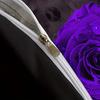 Soft And Breathable Duvet Cover Set Purple Rose Skull Pattern Bedding Set For Bedroom Guest Room And Dorm Decor