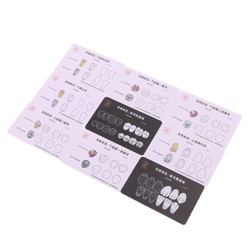 Стоматологическая композитная пломбировочная доска для практического применения Модель Зубы Шаблон Реставрация Полости Стоматолог Передняя Задняя Практика Стек Смолы