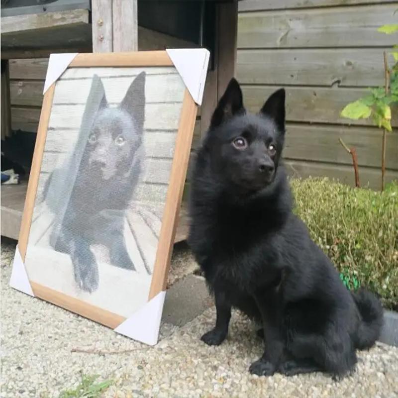 Фото на заказ алмазная картина мозаика комплект полные круглые бриллианты вышивка 5D крестиком украшение для дома подарок своими руками