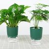 Flower Pot Automatic Watering Corrosion Resistant PP Succulent Plant Pot for Office