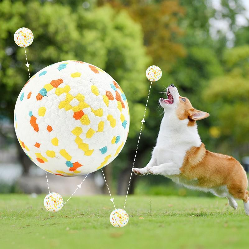 Durable High Rebound ETPU Dog Ball - Bite-Resistant Indestructible Molar Training Toy