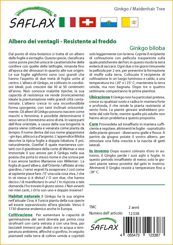 SAFLAX Авичий волос - 4 семени - Гинкго двулопастный