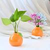Country Style Ceramic Orange Vase for Hydroponic Ivy and Tabletop Decoration
