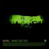 12-дюймовая пластинка RONI SIZE / REPRAZENT - Who Told You TKDJ8182 Talkin' Loud 2000 UK Dance & Electronica Б/у