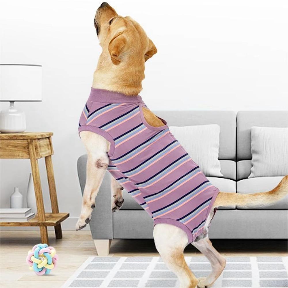 Breathable Dog Surgery Recovery Suit Thickened Bite Protective Outfit For Small Medium Large Dog
