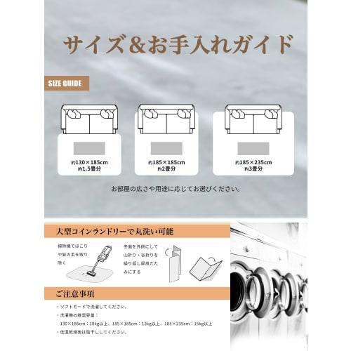 REDREAM 3rd Generation Washable Carpet Rug, Double-Sided, Memory Foam, Thick, Soundproof, Warm in Winter, Cool in Summer, with Non-Slip Sheet, Compati