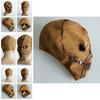 Hot Selling Halloween Horror Latex Mask Skull Head Cover For Costume Party Cosplay