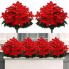 Artificial Poinsettia Bouquet with Green Leaves 4 Fork UV Resistant Fake Silk Flower Home Table Centerpiece Indoor Outdoor Faux Bloom Decoration