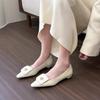 Fashion Spring Women's  Pumps Shoes Fashion Elegant Slip On Low Heels Ladies Elegant Pointed Toe Mary Jane Shoes