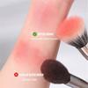 Stippling Highlight Brush Blush Goat Hair Multifunctional Mask Tool Foundation Beauty Concealer Q3Z7